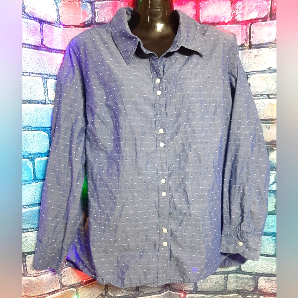 Lee Casual Blue Button-Down Shirt 1X